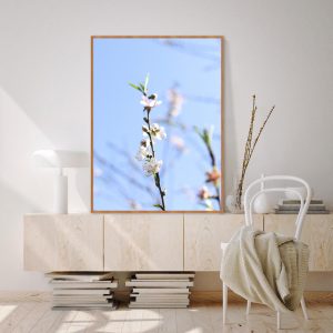 Quadro - Vitória Coutinho - Sakura Branca