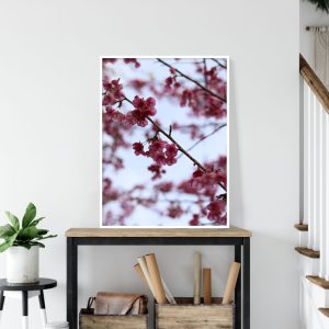 Quadro - Vitória Coutinho - Sakura Rosa