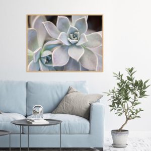 Quadro - Vitória Coutinho - Suculenta Quase Flor