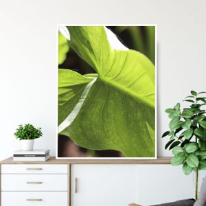 Quadro - Vitória Coutinho - Transparência Verde