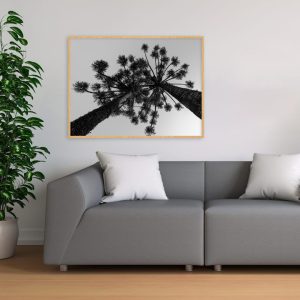 Quadro - Emílio Rothfuchs - 2 De Copas Pb