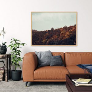 Quadro - Emílio Rothfuchs - Área De Preservação