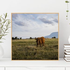 Quadro - Emílio Rothfuchs - Desconfiança