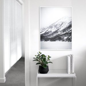 Quadro - Emílio Rothfuchs - Laguna Congelada
