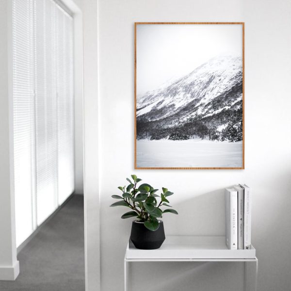 Quadro - Emílio Rothfuchs - Laguna Congelada - Image 3