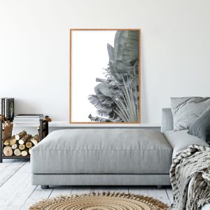 Quadro - Emílio Rothfuchs - Leque