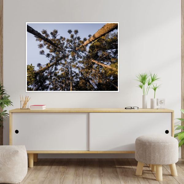 Quadro - Emílio Rothfuchs - Linhas Da Serra - Image 3