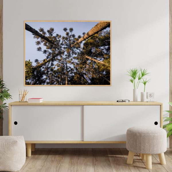 Quadro - Emílio Rothfuchs - Linhas Da Serra