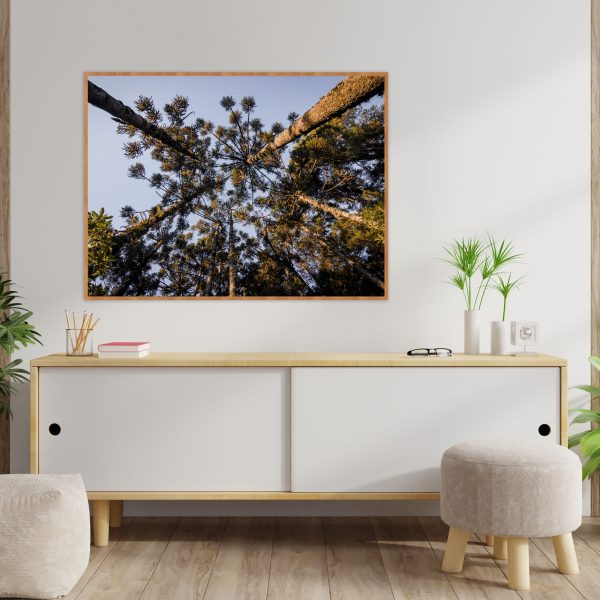 Quadro - Emílio Rothfuchs - Linhas Da Serra - Image 2