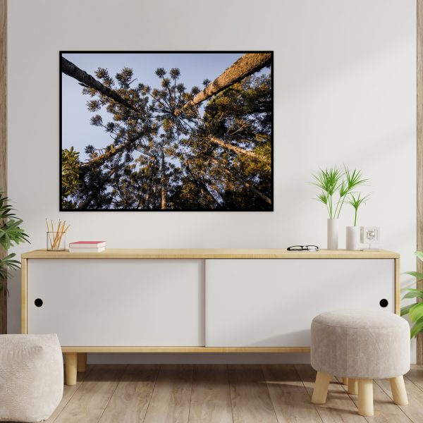 Quadro - Emílio Rothfuchs - Linhas Da Serra - Image 4