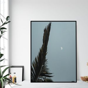 Quadro - Emílio Rothfuchs - Lua Tropical