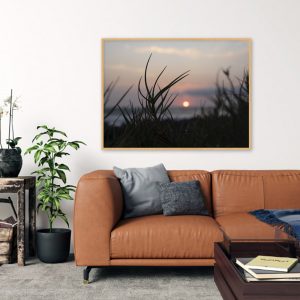 Quadro - Emílio Rothfuchs - Ponto Vermelho Da Silveira 02