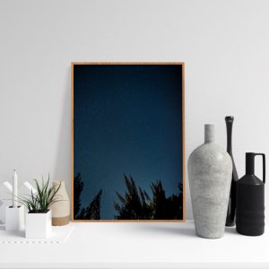Quadro - Emílio Rothfuchs - Sob A Luz Da Noite