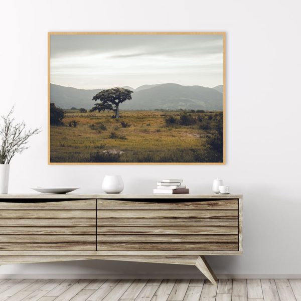 Quadro - Emílio Rothfuchs - Solidão