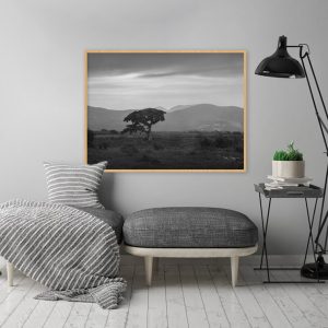 Quadro - Emílio Rothfuchs - Solidão PB
