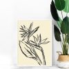Quadro - Letícia Barros - Strelitzia 1 - Imagem 3