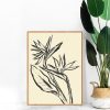 Quadro - Letícia Barros - Strelitzia 1 - Imagem 2