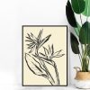 Quadro - Letícia Barros - Strelitzia 1 - Imagem 4