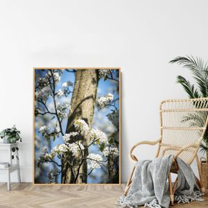 Quadro - Lise Rodembusch - Floresceu