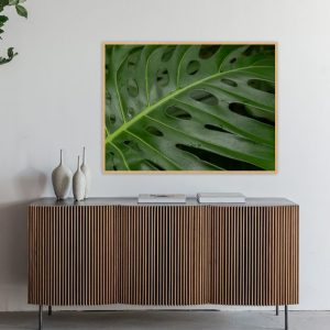 Quadro - Nicole Falavigna - Frescor