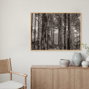 Quadro - Nicole Falavigna - Sentinelas