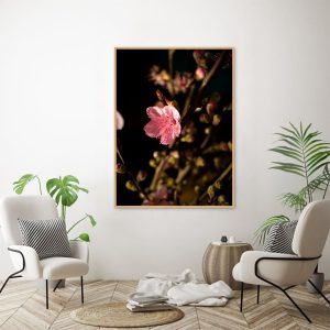 Quadro - Thyago Hernandez - Banho De Sol