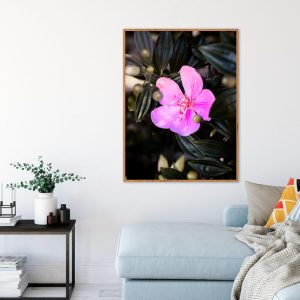 Quadro - Thyago Hernandez - Corola Rósea