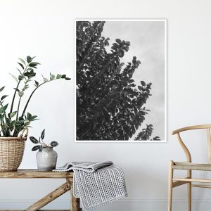 Quadro - Thyago Hernandez - Folhas Diagonais