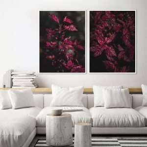 Dupla de Quadros - Fotossíntese e Mar Rubro