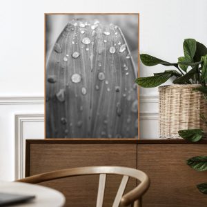 Quadro - Thyago Hernandez - Gotas