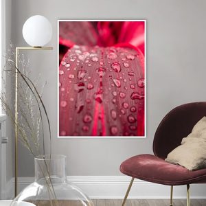 Quadro - Thyago Hernandez - Orvalho Vermelho