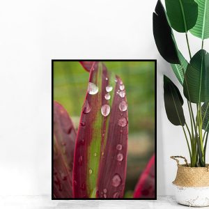 Quadro - Thyago Hernandez - Resquícios da Chuva
