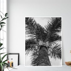 Quadro - Thyago Hernandez - Vertigem