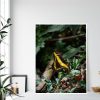 Quadro - William Eickler - Borboleta 1 - Imagem 3