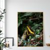 Quadro - William Eickler - Borboleta 1