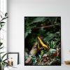 Quadro - William Eickler - Borboleta 1 - Imagem 4