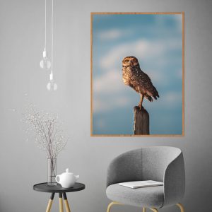 Quadro - William Eickler - Coruja Buraqueira