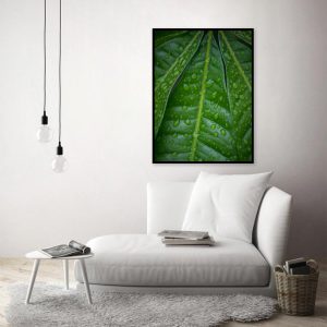 Quadro - William Eickler - Folhas