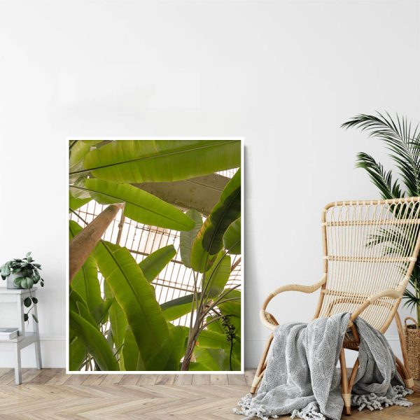 Quadro - Michel Fraitag - Botanical Garden Kew 3 - Image 4