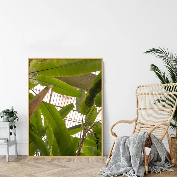 Quadro - Michel Fraitag - Botanical Garden Kew 3 - Image 2