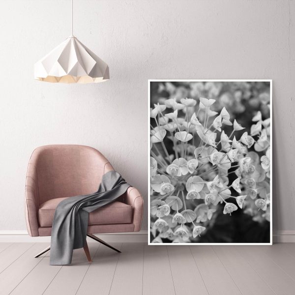 Quadro - Michel Fraitag - Colorless Flowers 3 - Imagem 4