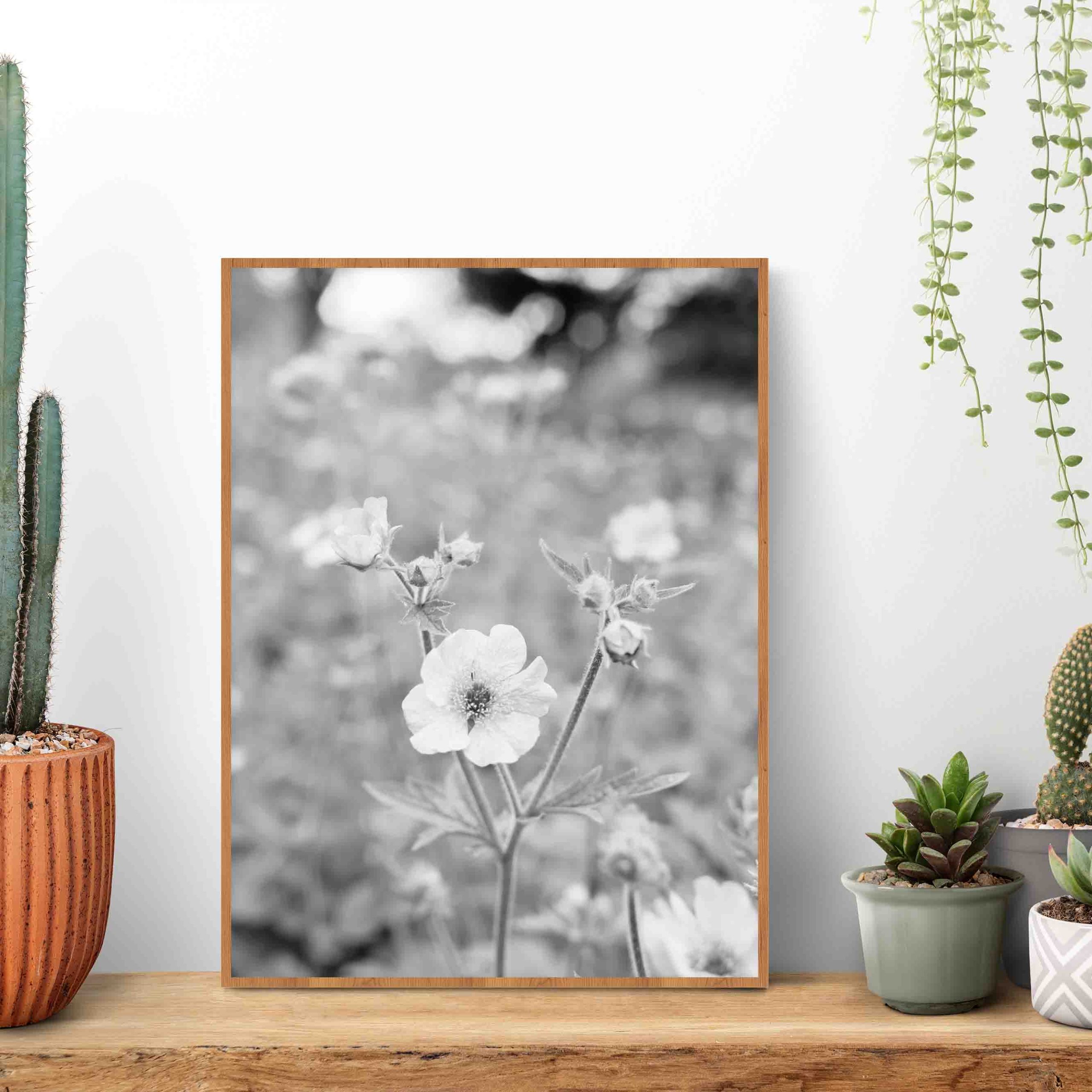 Quadro - Michel Fraitag - Colorless Flowers 4 - Imagem 2