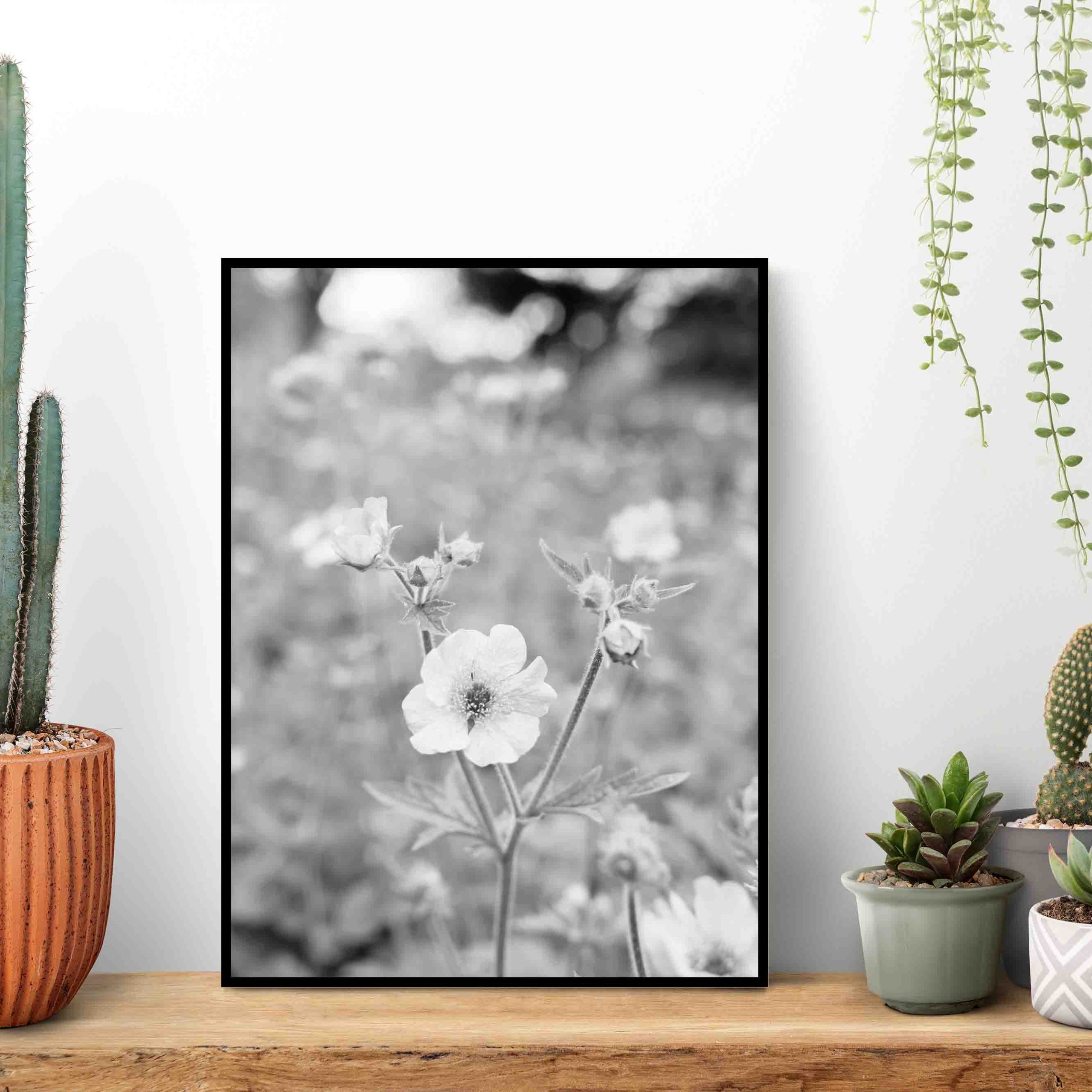 Quadro - Michel Fraitag - Colorless Flowers 4 - Imagem 4