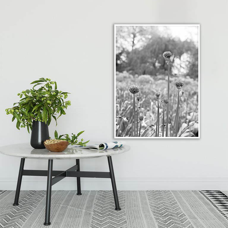Quadro - Michel Fraitag - Colorless Flowers 6