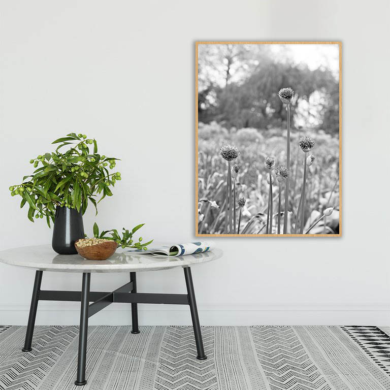 Quadro - Michel Fraitag - Colorless Flowers 6 - Imagem 2
