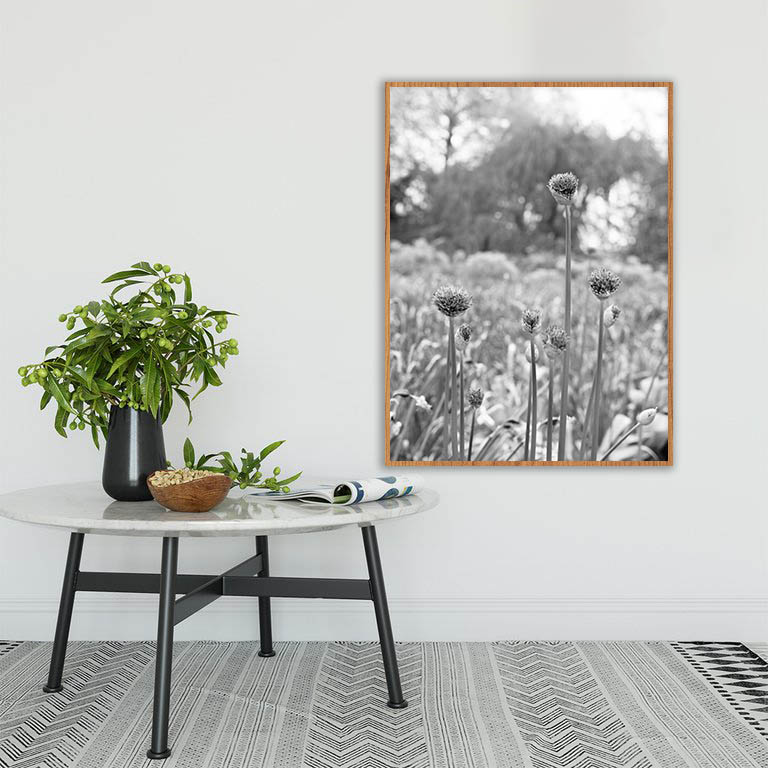 Quadro - Michel Fraitag - Colorless Flowers 6 - Imagem 3