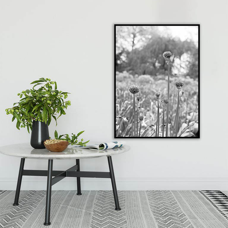 Quadro - Michel Fraitag - Colorless Flowers 6 - Imagem 4