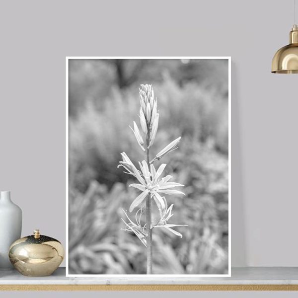 Quadro - Michel Fraitag - Colorless Flowers 7 - Imagem 4