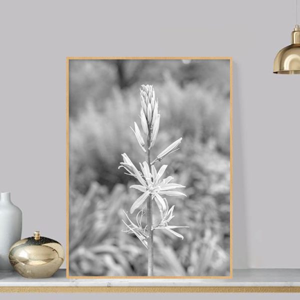 Quadro - Michel Fraitag - Colorless Flowers 7 - Imagem 2