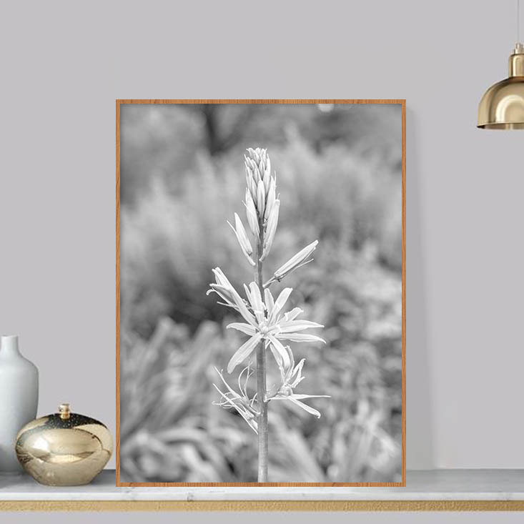 Quadro - Michel Fraitag - Colorless Flowers 7 - Imagem 3